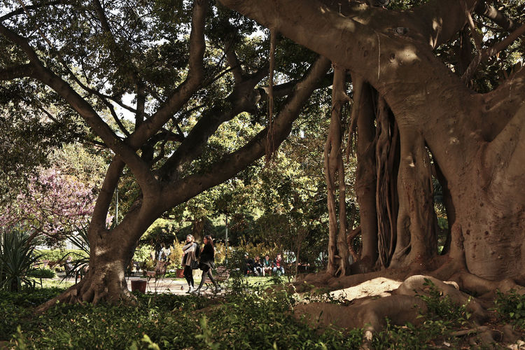 Principe Real Lisbon Principe Real Lisbon